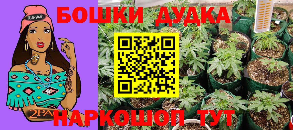 Бошки марихуана SATIVA & INDICA  Вход с VPN  Фрязино  Бошки Шишки планчик  МАРИХУАНА Bruce Banner  Бошки марихуана семена 